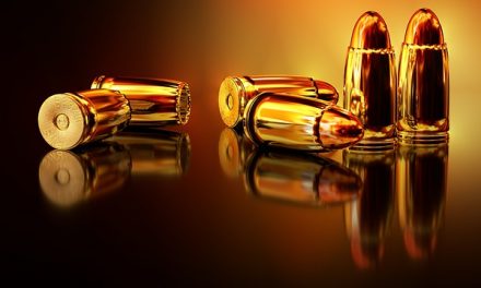 Datenschutz bei der Waffen­behörde
