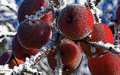 Hörspiel-Kinderprojekt: Schneewittchen