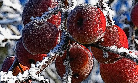 Hörspiel-Kinderprojekt: Schneewittchen