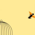 BIDIB: Vertiefungsseminar Informationsfreiheit