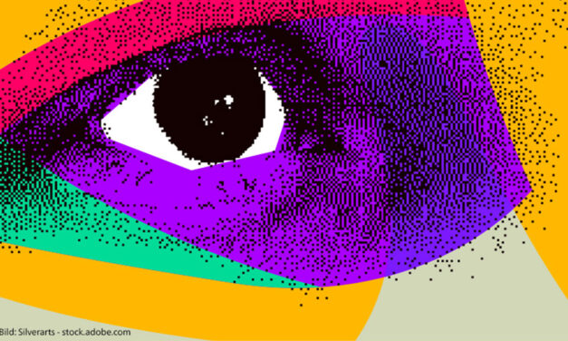 Wer sieht mich? E-Learning-Kurs mit der Landeszentrale für politische Bildung